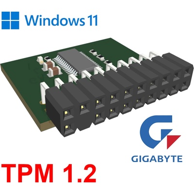 IAX (D-101) GIGABYTE D-modul special TPM 1.2 var:LPC pin:20pin pro Win11