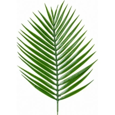 Umelý palmový list 38 cm