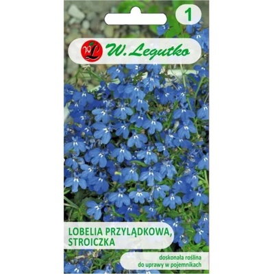Lobelia kapská Stroiczka modrá