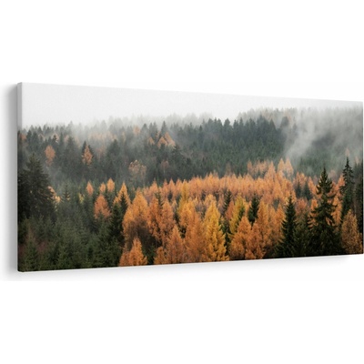 Obraz - Podzimní les, jednodílný 200x100 cm