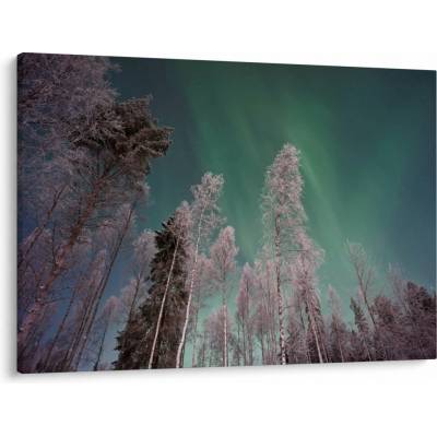 Obraz polárna žiara nad zamrznutými stromami, jednodielne 100x70 cm