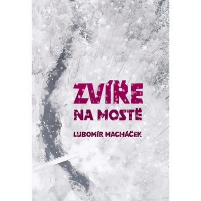 Zvíře na mostě - Lubomír Macháček