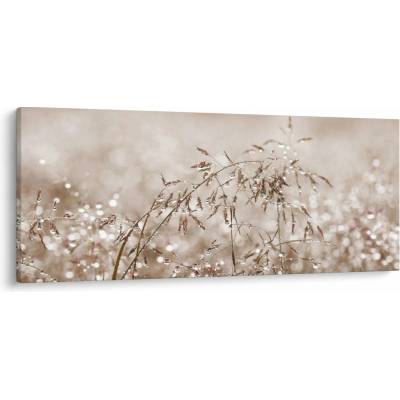 Obraz - Louka v hnědých tónech, jednodílný 120x50 cm