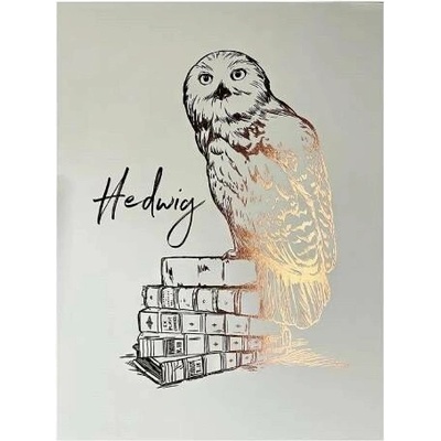 imago Obraz Harry Potter - Hedvika