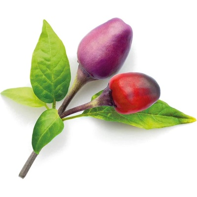 Semienka Piquant Paprička chilli CANCUN