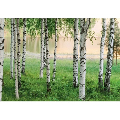 W+G 290 Papírová 8 dílná fototapeta Nordic Forest, rozměry 366 x 254 cm