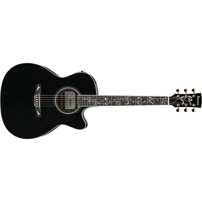 Ibanez AC391RCE – Hledejceny.cz