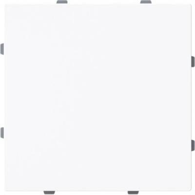 Busch-Jaeger 2CKA001710A4211