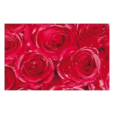 Gekkofix 12679 Samolepiaca fólia Ruže š.45cm Rozmer 45cm x 1m