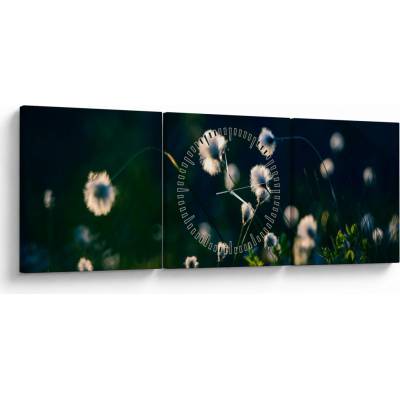 Obraz - Tráva (s hodinami), trojdielne 90x30 cm s hodinami
