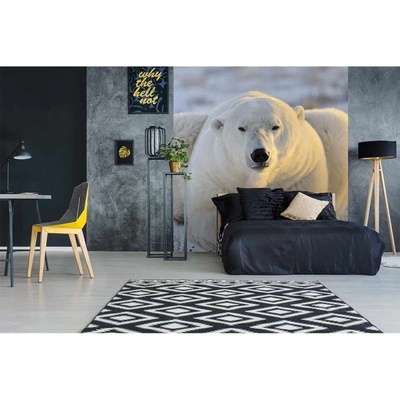 Dimex MS-3-0220 vliesová fototapeta na zeď Lední medvěd rozměry 225 x 250 cm