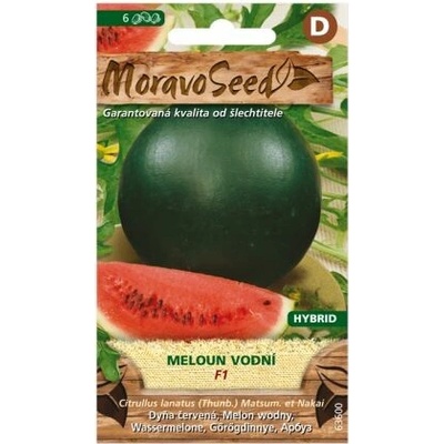 MoravoSeed Semená Melón F1 hybrid červený 6 s
