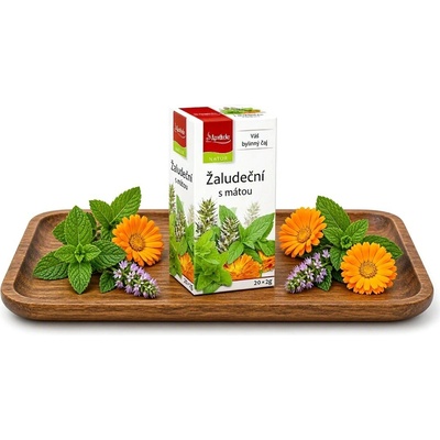 NATUR Tea APO Žaludeční s mátou 20 x 2 g