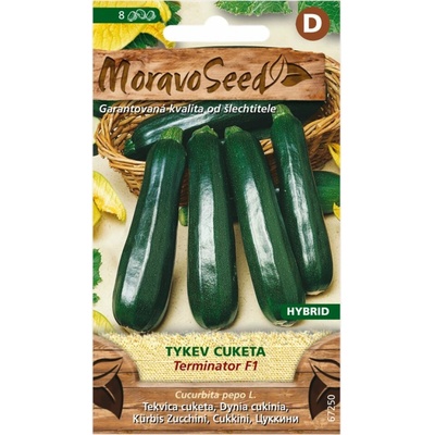Tekvica cuketa zelená Terminator F1 MoravoSeed