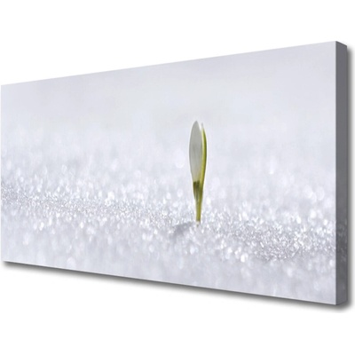 Obraz Canvas Snežienka sneh zima 100x50 cm
