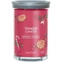Yankee Candle Signature tumbler Peppermint Pinwheels 567 g