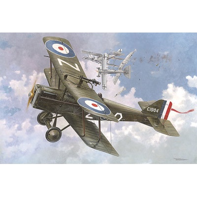 Roden Royal Aircraft Factory S.E.5a w/ Wolseley Viper 1:48