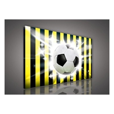 Obraz na plátne obdĺžník - OB0207 - Futbalová lopta 100cm x 75cm - O1