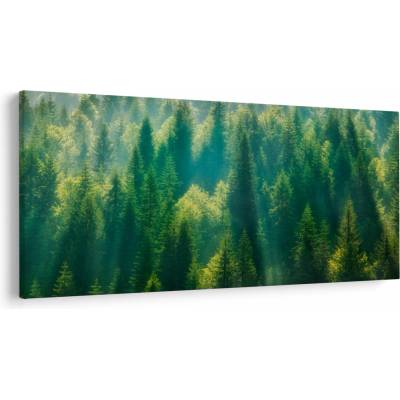 Obraz - Borovicový les, jednodielne 200x100 cm