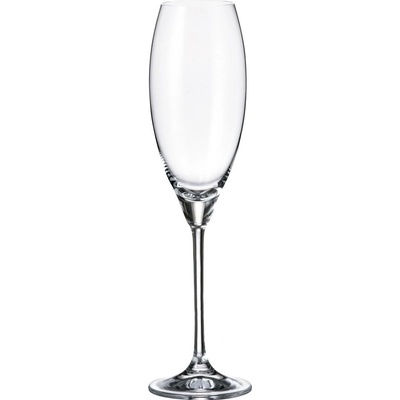 Crystalite Bohemia Sklenice na šampaňské CARDUELIS 290 ml