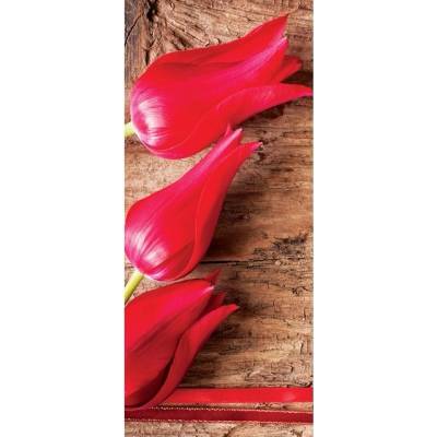 Preinterier Fototapeta - DV0136 - Tulipány Samolep. fólia - 91cm x 211cm