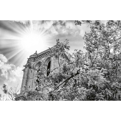 Dimex MS-5-1023 Vliesová fototapeta Notre Dame detaily rozměry 375 x 250 cm