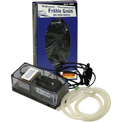 Fröhle Electric Pump