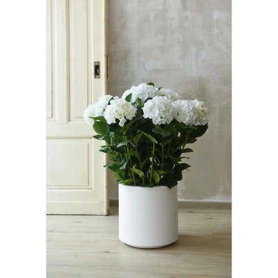 eshop-kvetinace.sk Umelá hortenzia HYDRANGEA v bielom kvetináči, výška 90 cm, biela