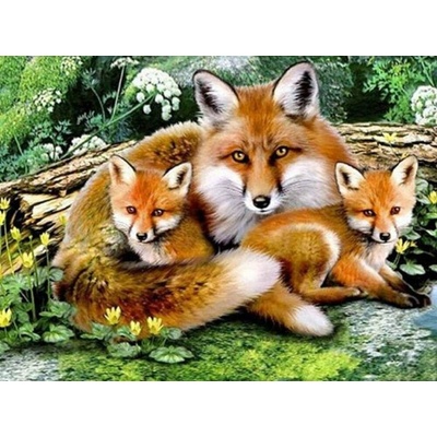 Norimpex diamantové malování Liščí rodinka 30 x 40 cm – Hledejceny.cz