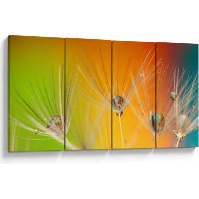 Obraz kvapiek na rastline, štvordielne 160x80 cm