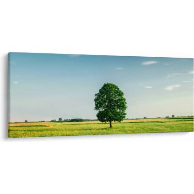 Obraz stromu na lúke, jednodielne 120x50 cm