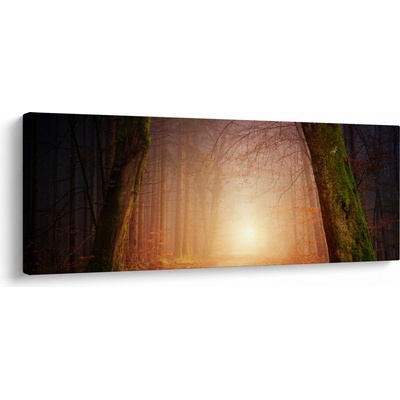 Obraz podzimního lesa v mlze, jednodílný 100x40 cm