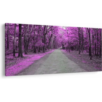 Obraz - Cesta parkem, jednodílný 200x100 cm
