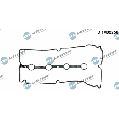 DR.MOTOR AUTOMOTIVE Tesnenie veka hlavy valcov DRM02258