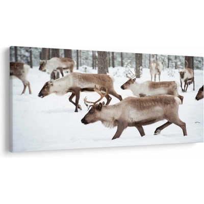 Obraz - Soby, jednodielne 250x125 cm