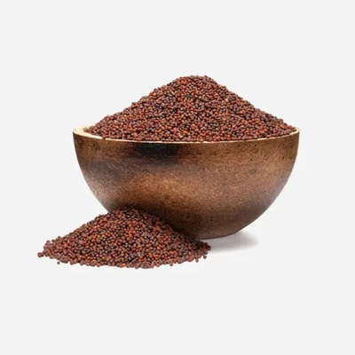 Grizly Brokolice BIO semínka na klíčení 250 g