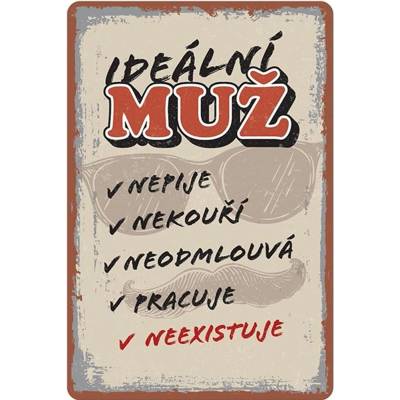 Plechová cedule Ideální muž