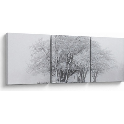 Obraz - Biela zima, trojdielne 90x30 cm