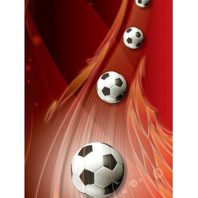 Preinterier Fototapeta panel - PL0775 - 3D futbalová lopty vlies - 206cm x 275cm