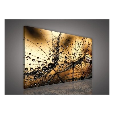 Obraz na plátne obdĺžník - OB1070 - Púpava 100cm x 75cm - O1