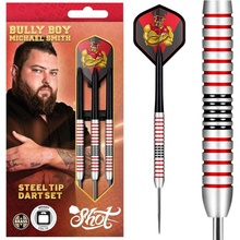 steel Shot Michael Smith 24g, Brass