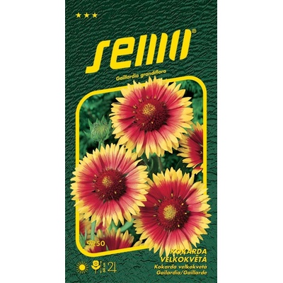 SEMO Kokarda veľkokvetá spanilá žltohnedá