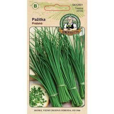 Semenárstvo Pažítka Pražská 3 g