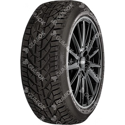 RIKEN SNOW 195/55 R16 87T