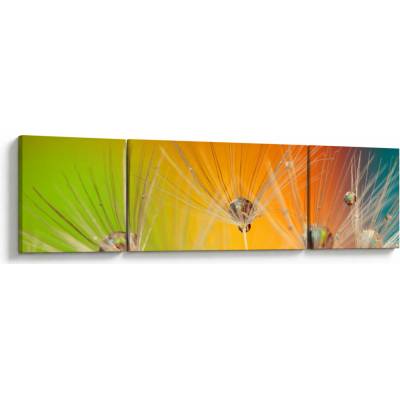 Obraz kapek na rostlině, třídílný 170x50 cm