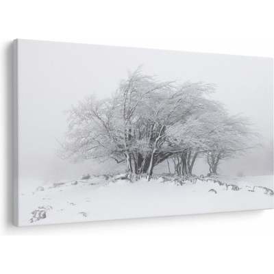 Obraz - Biela zima, jednodielne 120x80 cm