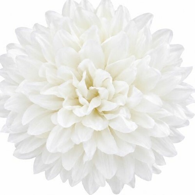 Umelá chryzantéma biela 13 cm