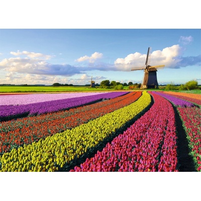 Jumbo Pole tulipánů 1000 dílků