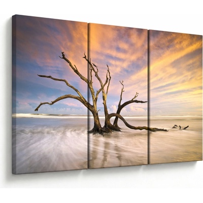Obraz stromu v oceánu, třídílný 120x80 cm