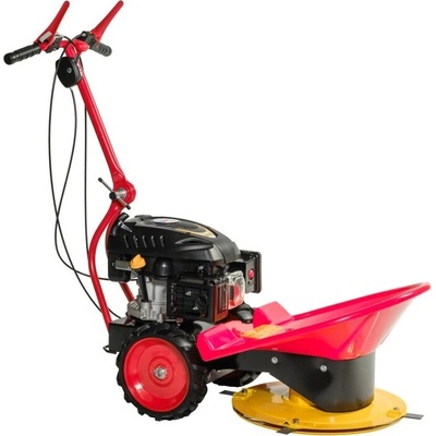 Motor Jikov Green Perla RATO 2005316SP